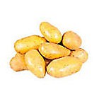 Brambory rané prané 35+ I. čerstv. 1x25kg síť